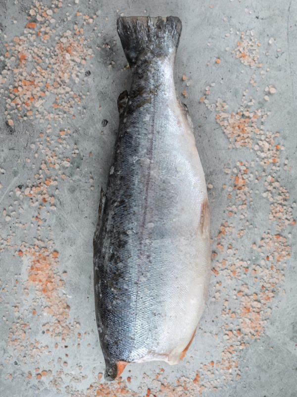  Нерка камчатская б\г с\м 1 кг